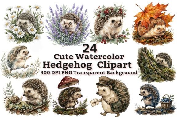 Download Cute Watercolor Hedgehog Clipart Bundle - Cute watercolor Collection