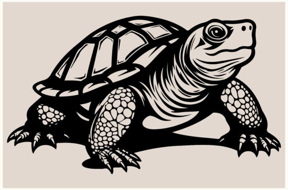 Download Tortoise,Wild Nature Wildlife Silhouette - Premium Resources